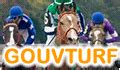 gouve turf